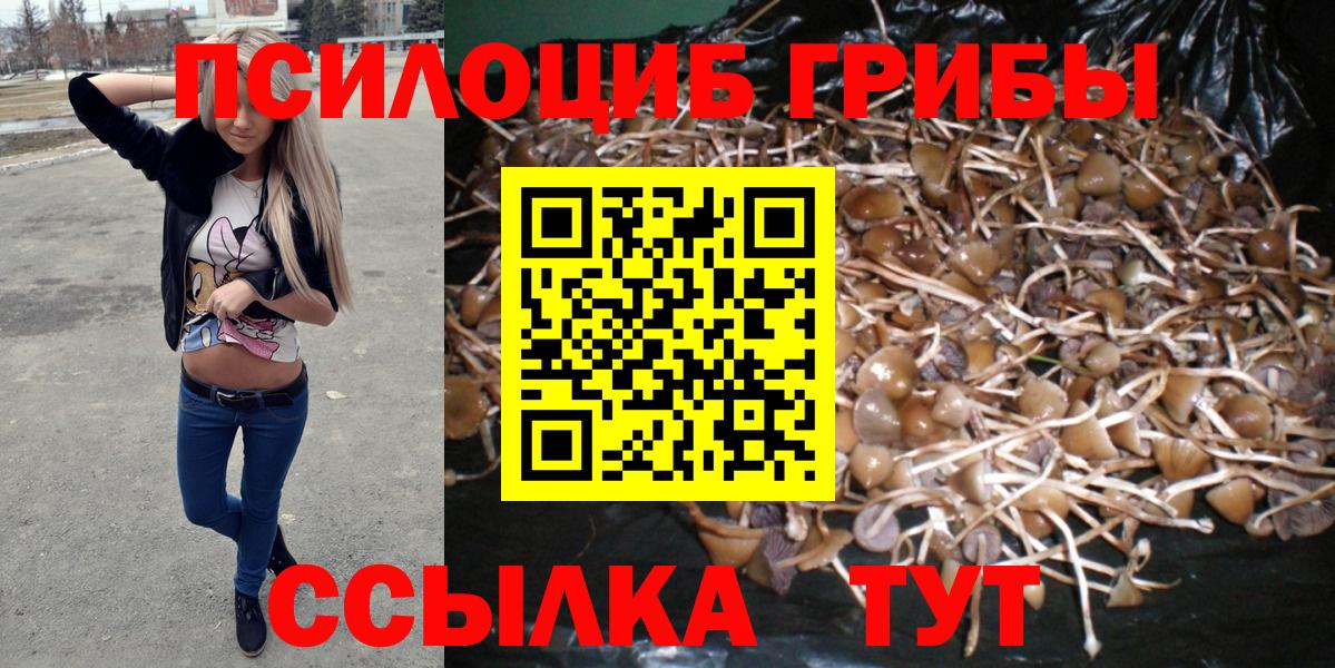 Галлюциногенные грибы мухоморы Донской