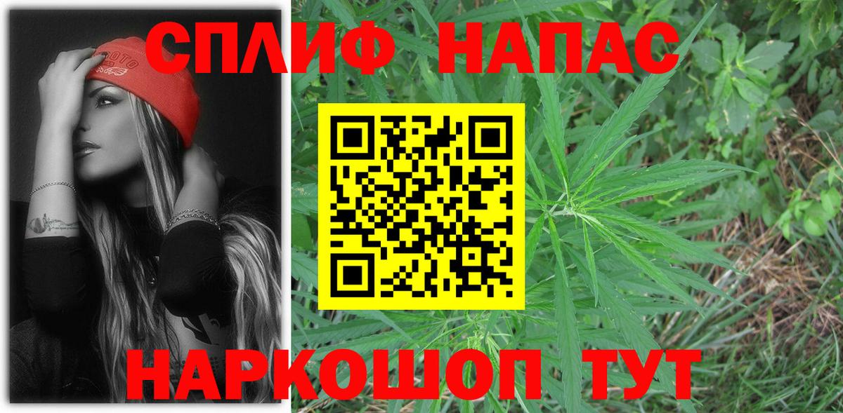 Каннабис конопля Донской